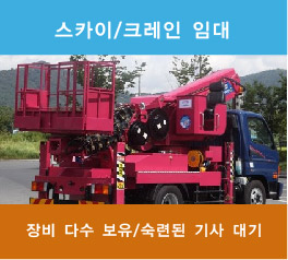 장수스카이크레인